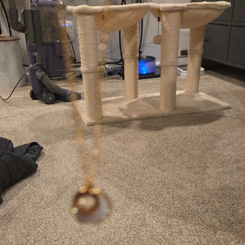 Kate Spade Gold and White Circle Necklace - Picture 5 of 6